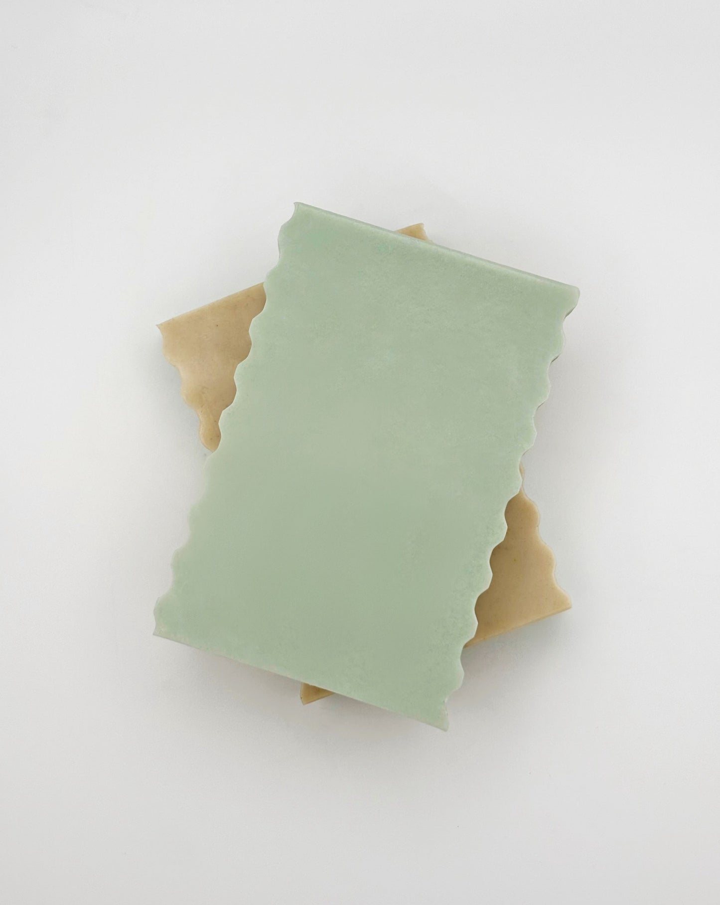 Aloe Eucalyptus | Natural Soap Bar